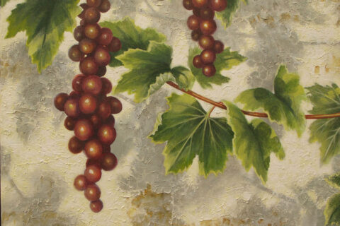 Red Grapes