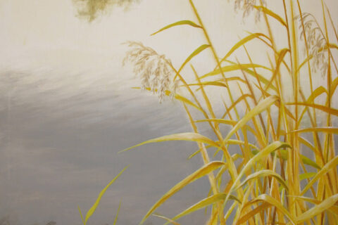 Reeds 1