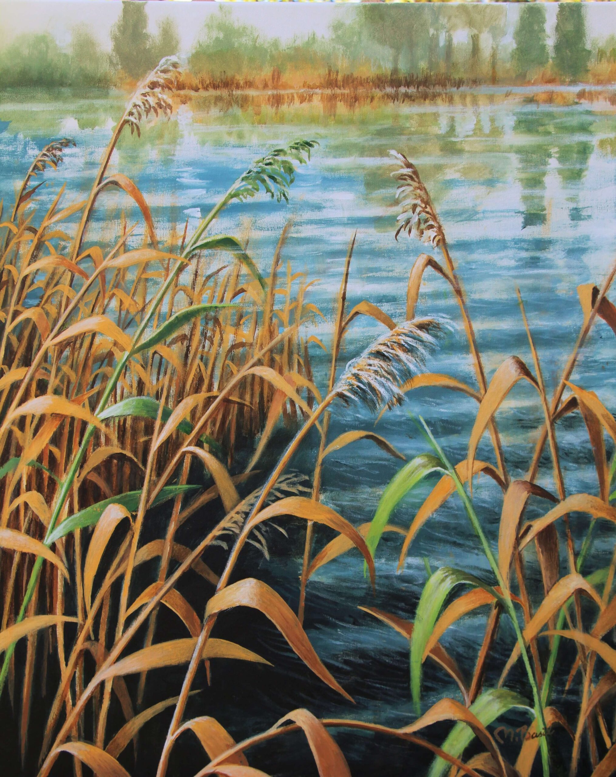 Island reeds 1