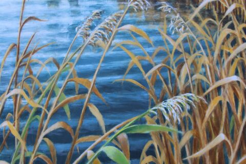 Island reeds 2