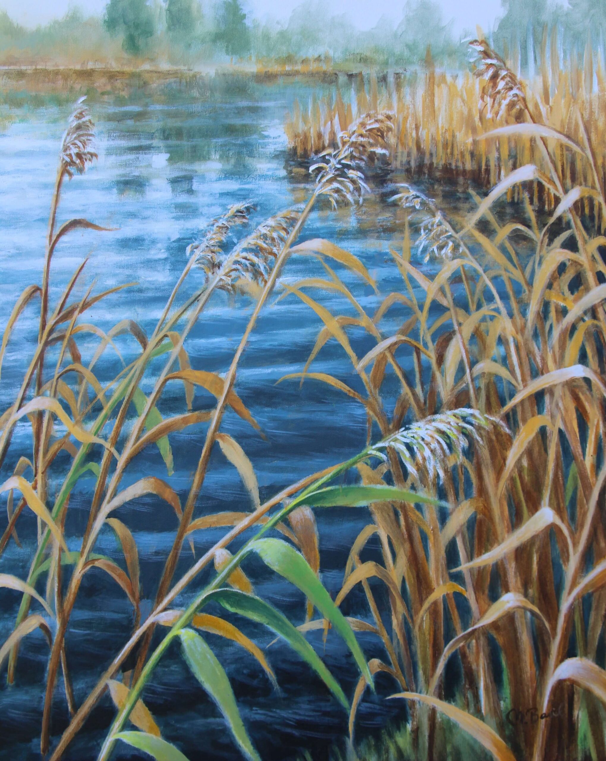 Island reeds 2