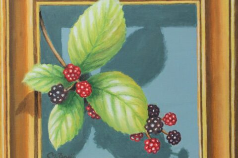 Blackberries 2